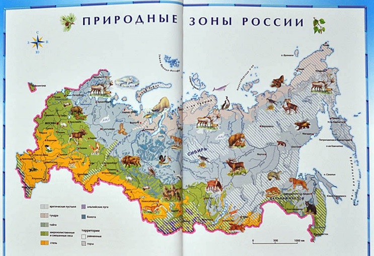Иллюстрированная энциклопедия Природа России  
